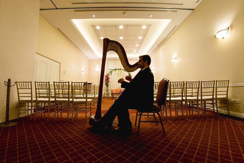 Safi Royal Luxury Valle San Pedro Garza Garcia Exteriör bild A harpist playing at a wedding